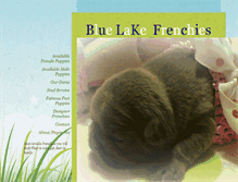 Tablet Screenshot of bluelakefrenchies.com